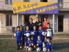 pulcini 2001